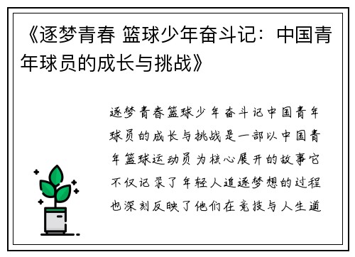 《逐梦青春 篮球少年奋斗记：中国青年球员的成长与挑战》